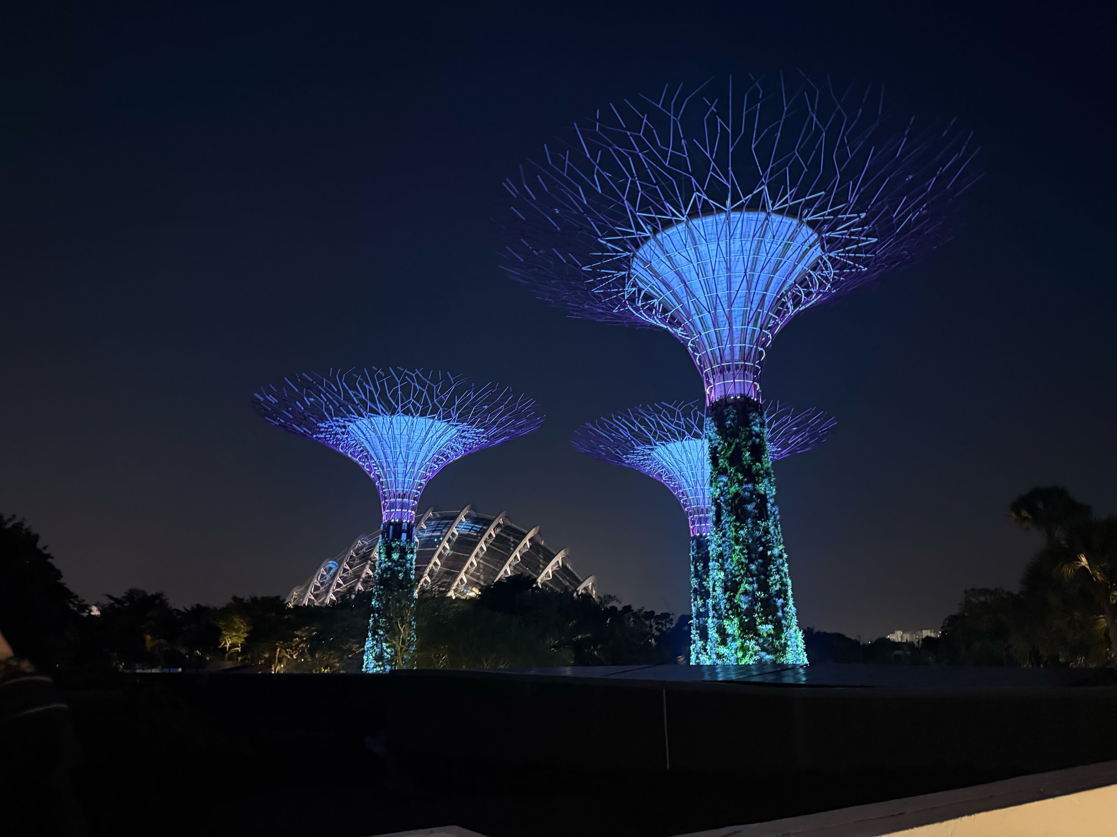 Gardens by the Bay supertrees lit up at night